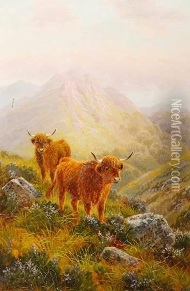 Shetland Cattle On Ben Nuish, Island Of Arran, Scotland Oil Painting - Albert Dunnington