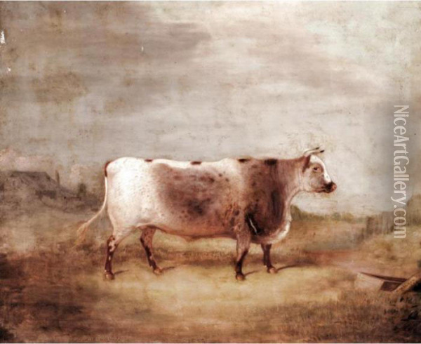 Wildeyes, A Prize Short Horned Heifer Oil Painting - William Malbon