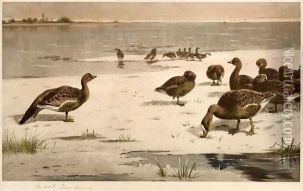 Unapproachable Geese Oil Painting - Archibald Thorburn