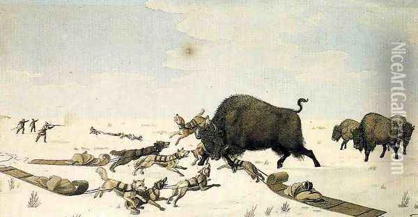 Buffalo Hunt Oil Painting - Peter Rindisbacher