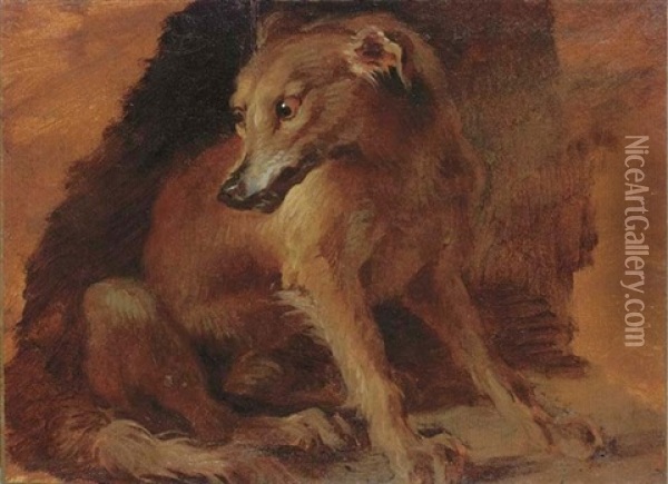 Study Of A Young Fox Oil Painting - Alexandre Francois Desportes
