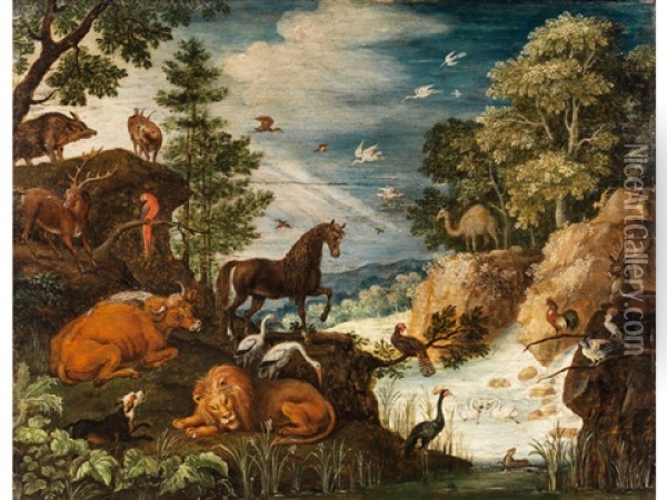 Das Friedliche Zusammenleben Der Tiere Im Paradies Oil Painting - Gillis Claesz De Hondecoeter
