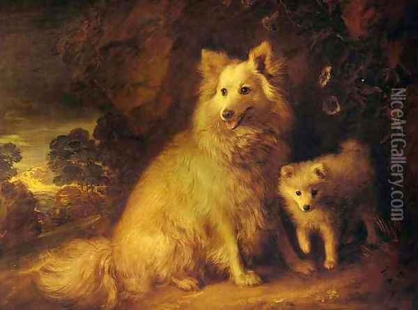 Pomeranian Bitch and Puppy Oil Painting - Thomas Gainsborough