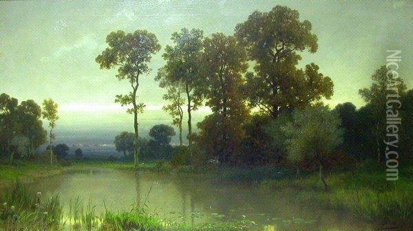 Romantische Seelandschaft Im Abendlicht Mit Enten Oil Painting - Peter Bucken