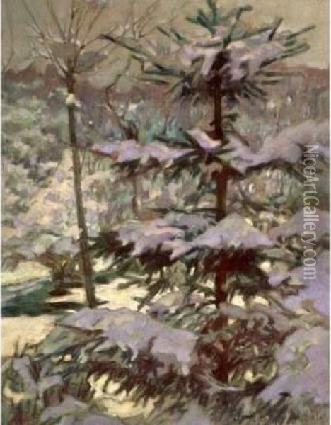 Foret De Sapins Sous La Neige Le Matin. Oil Painting - Nikolai Petrovich Bogdanov-Belsky