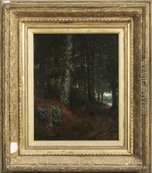 Pine Woods, New Castle, New Hampshire Oil Painting - Winckworth Allan Gay