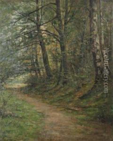 Woodpath Oil Painting - Henri Van Muyden