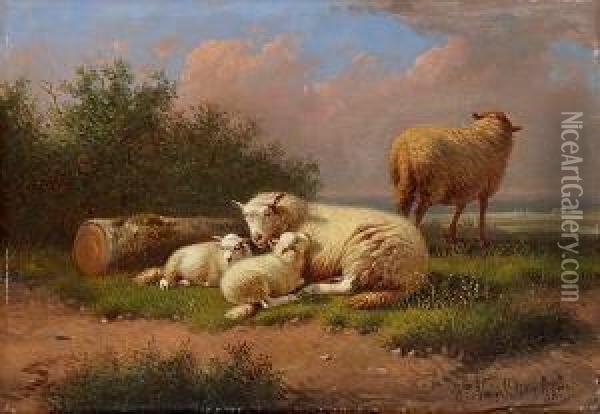 Schafe Auf Der Weide. Oil Painting - Joseph Van Dieghem