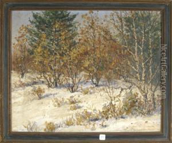 Fall Landscape Oil Painting - Theodor Victor Carl Valenkamph