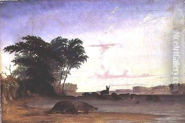 A Herd of Hippopotami near the mouth of the Luala River Oil Painting - Thomas Baines