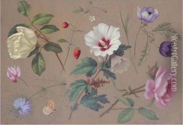 Flower Studies Oil Painting - Carl Adolf Senff