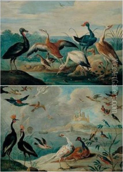 Pheasants And Various Other Fowl In A Coastal Landscape Oil Painting - Jan van Kessel