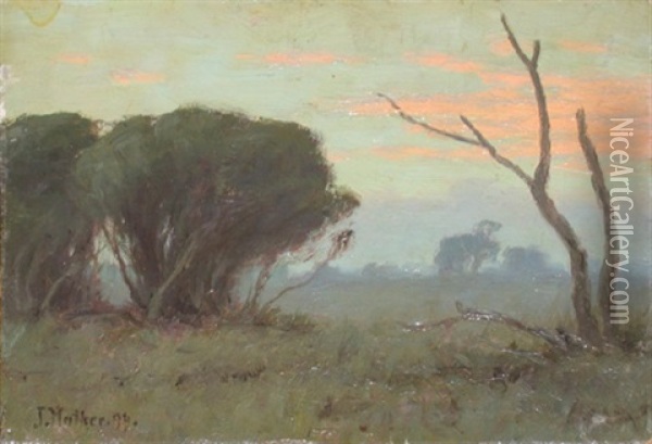 Dawn Oil Painting - John Mather