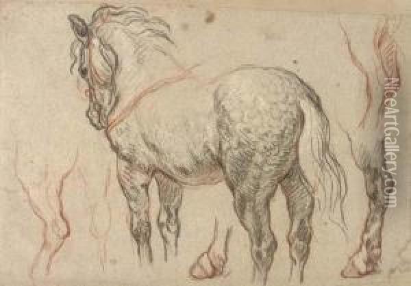 A Dappled Grey Horse With Subsidiary Studies Of Its Legs Oil Painting - Charles de Lafosse