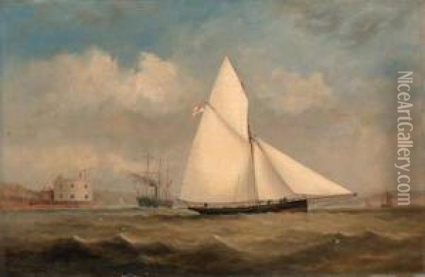 Terpsichore, A Racing Cutter, And A Large Paddle-steamer Off Hurstcastle, On The Solent Oil Painting - Arthur Wellington Fowles