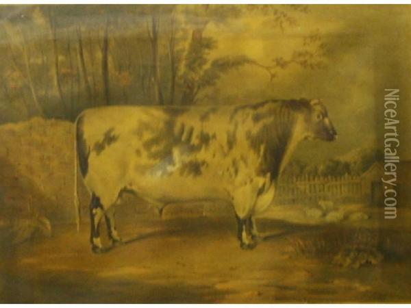 A Cow Oil Painting - R. Harrington