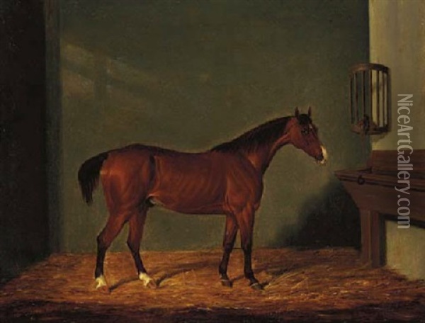 A Bay Hunter In A Stable Oil Painting - James (of Bath) Loder