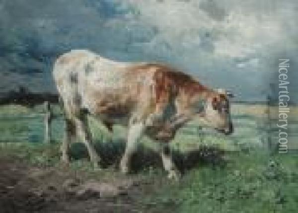 Cow In The Meadow Oil Painting - Henry Schouten