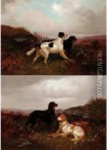 A Gordon And An English Setter In The Scottish Highlands Oil Painting - Colin Graeme Roe
