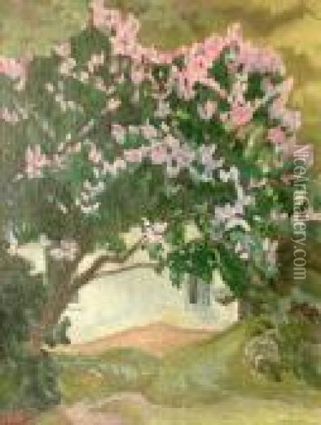 Kwitnace Drzewo Oil Painting - Wladyslaw Stapinski