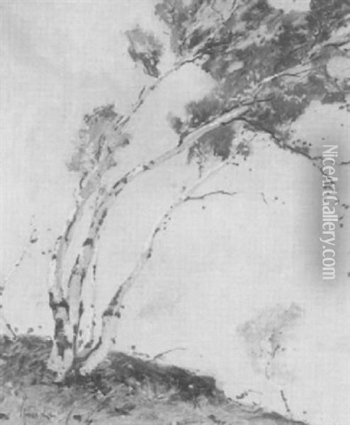 Landscape/pending Birches Oil Painting - Jonas Lie