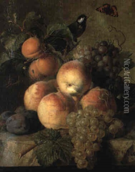 Raisins, Peches Et Prunes Sur Un Entablement De Marbre Oil Painting - Jan Frans Van Dael