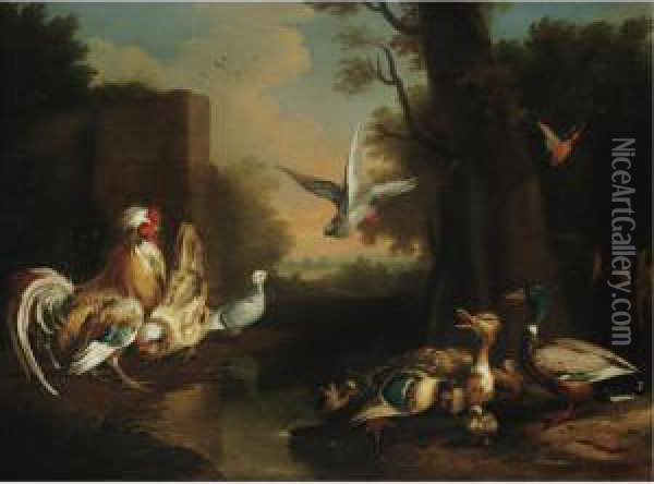 A Rooster, Hen, Ducks And Other Birds In A Landscape Oil Painting - Pieter Casteels