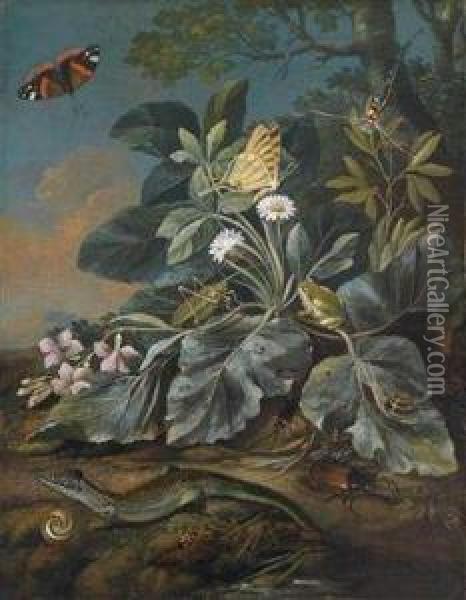 Meadow Flowers, Mushrooms, Insects, Lizards, And Snails On A Forest Ground Oil Painting - Franz Michael Von Purgau