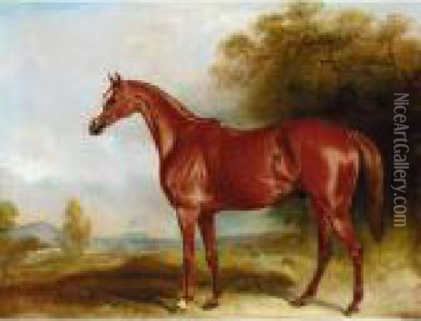 Harkaway , A Chestnut Racehorse In A Landscape Oil Painting - John Snr Ferneley