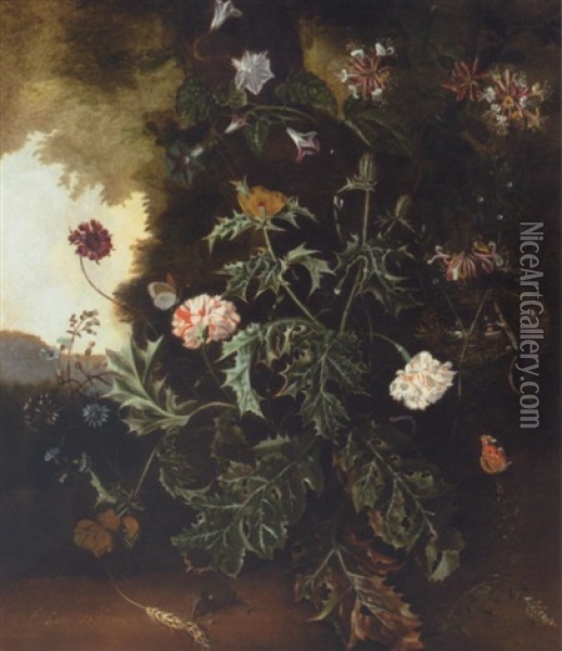Still Life With Prickly Poppy, Carnations, Honeysuckle And Various Other Flowers With A Lizard On A Bird Nest, A Mouse, Butterflies And A Caterpillar Oil Painting - Alida Withoos