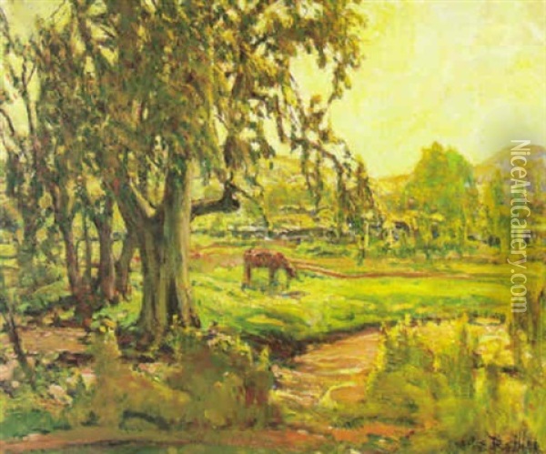 Late Afternoon Glow Oil Painting - Charles Reiffel