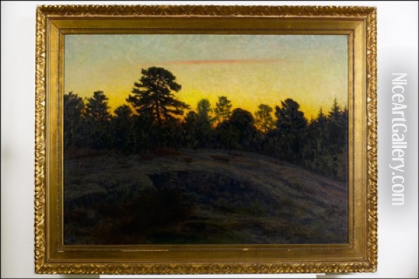 Kesailta (sommarkvall) Oil Painting - Elias Erdtman