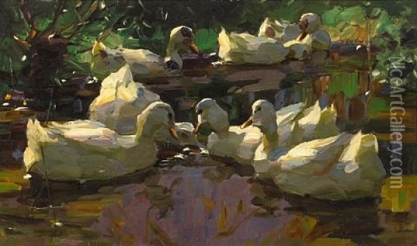 Ducks In A Pond (busy-bodies) Oil Painting - Alexander Max Koester