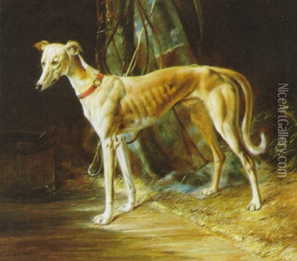 Der Windhund Oil Painting - Johann Adam Klein