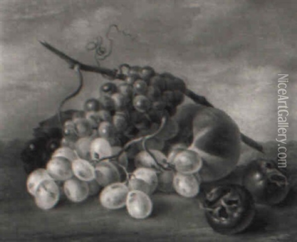 Fruchtestilleben Mit Granatapfeln Oil Painting - Franz Xaver Petter