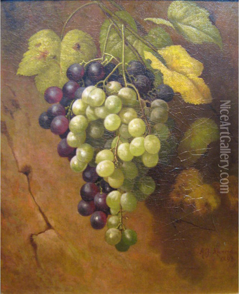 Still Life Of Grapes Oil Painting - Albert Francois Fleury