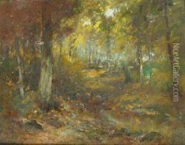 Woodland Interior Oil Painting - Roswell Morse Shurtleff