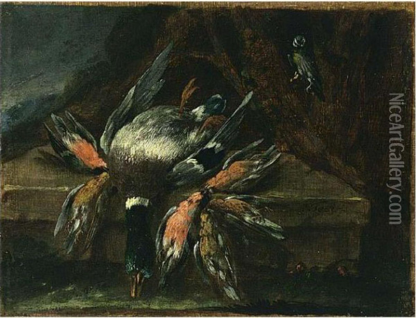 A Still Life Of A Duck And Other Birds, All On A Ledge Oil Painting - Adriaen de Gryef