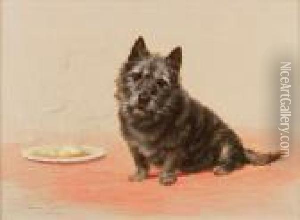 Suppertime; A Scottish Terrier Oil Painting - Maud Earl