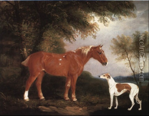 A Chestnut Pony With A Greyhound In A Landscape Oil Painting - John E. Ferneley