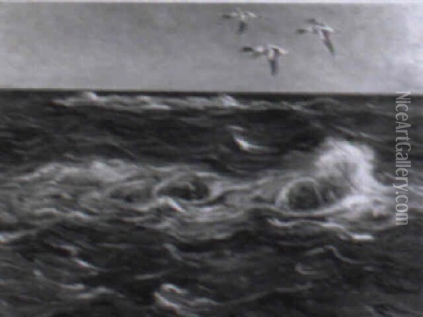 Sjofaglar Over Hav Oil Painting - William Gislander