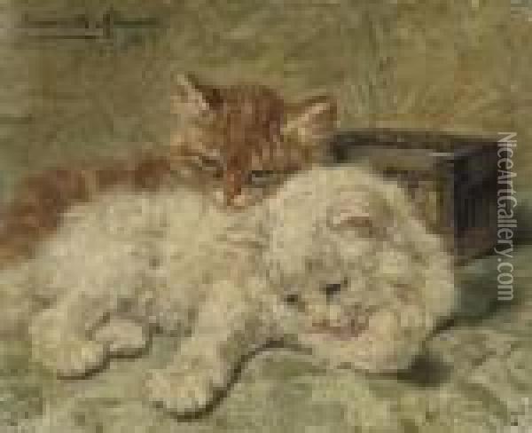 Ginger And White Oil Painting - Henriette Ronner-Knip