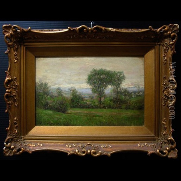 Landscape Study With Old Rail Fence And Distant Houses Oil Painting - Percy Franklin Woodcock