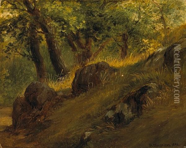 A Study Of A Forest Clearing Oil Painting - Ivan Shishkin