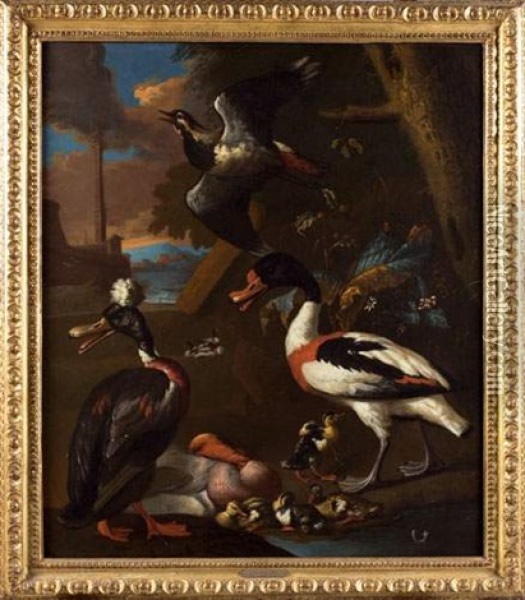 Oiseaux De Nuit Oil Painting - Adriaen van Oolen