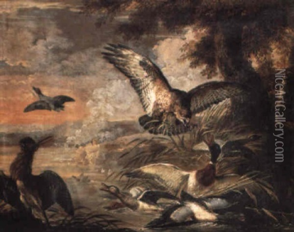 A Hawk Flushing Ducks Oil Painting - Angelo Maria (Crivellone) Crivelli