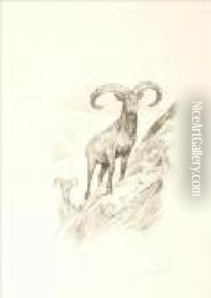 Mountain Goat Oil Painting - Arthur Wardle