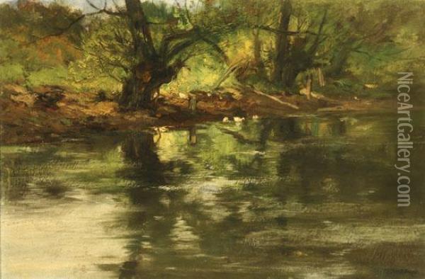 Three Ducks At The Edge Of A Woodland Brook Oil Painting - Charles Paul Gruppe