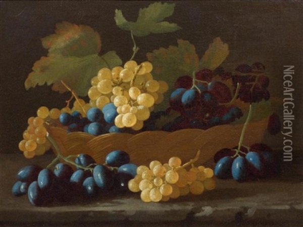 Stillleben Mit Trauben Oil Painting - Giovanni Paolo Castelli (lo Spadino)