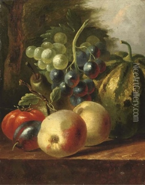 Still Life With Fruit Oil Painting - Johannes Cornelis de Bruyn